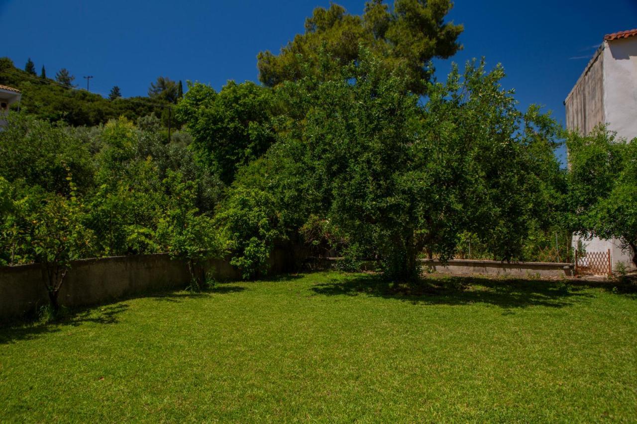 Villa Lygia Lygia  Luaran gambar